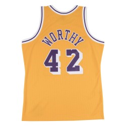 Maillot Los Angeles Lakers...