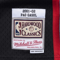 Maillot Memphis Grizzlies Pau Gasol 2001