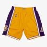 lakers-2009-nba-short