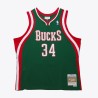 Maillot Giannis Antetokounmpo Milwaukee Buks 2013