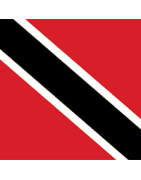 Trinidad Tobago Football