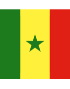 Senegal: maillots retro foot des Lions de la Teranga